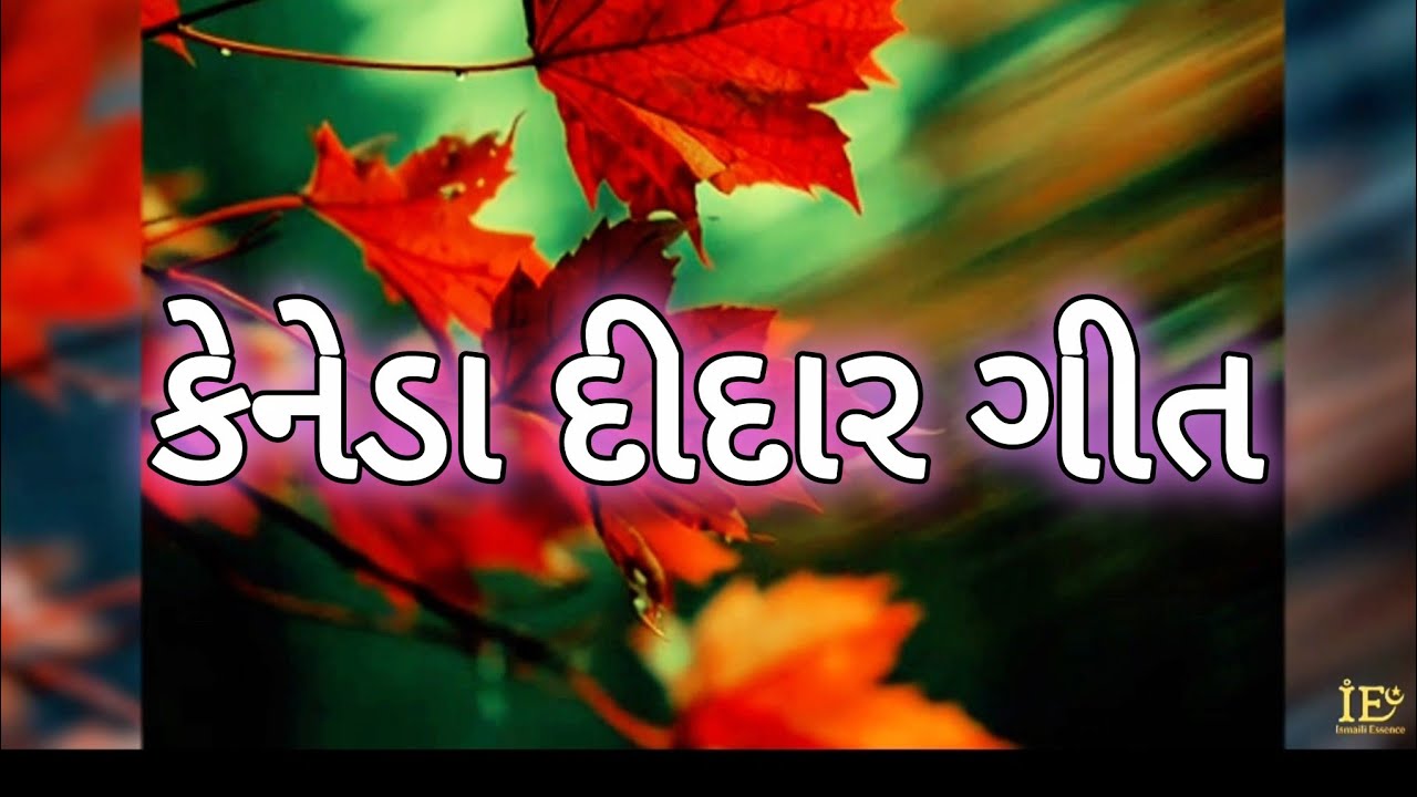 CANADA DIDAR SONG ! 🇨🇦 Best Gujarati Song for Canada Didar | Dr.Sadru & b.d.prasla ( Barkat )