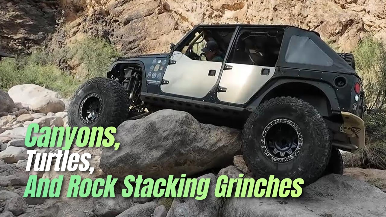 Canyons, Turtles, Rock Stacking Grinches