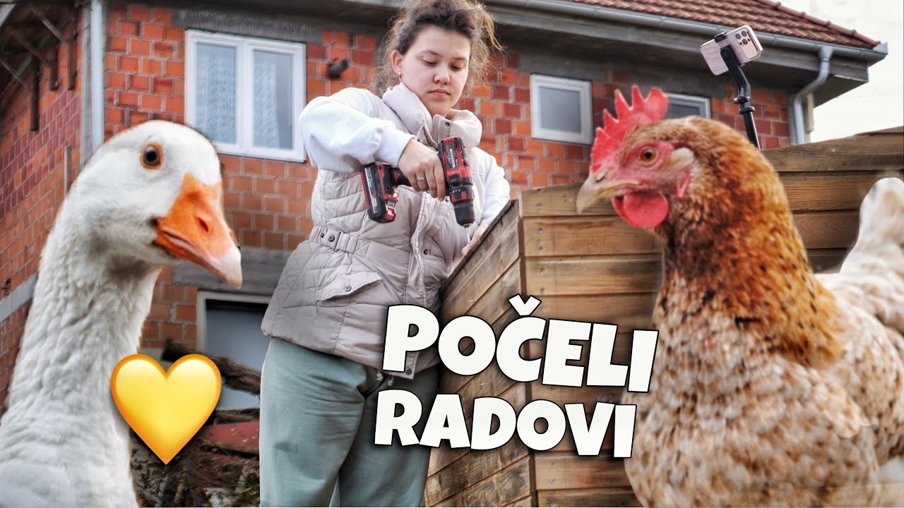 Počeli smo nove radove u vrtu 🌱 A stigli su i pilići 🐣