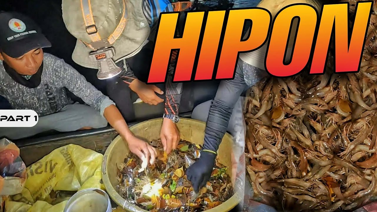 P1 - Tambak ang Hipon - EP2124