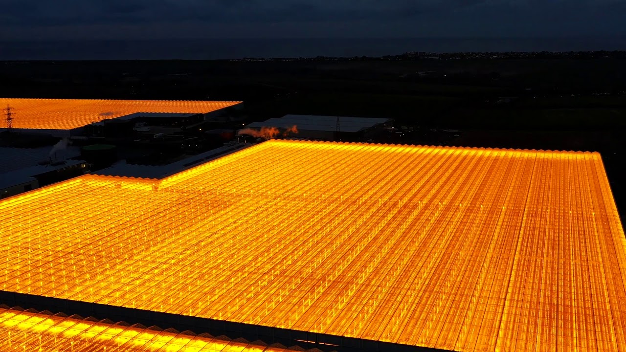 Alien Landscapes - Night time greenhouses
