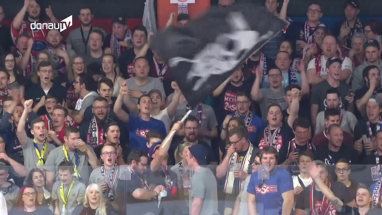 Grund zum Feiern – Deggendorfer SC beweist Kampfgeist gegen die Tilburg Trappers!