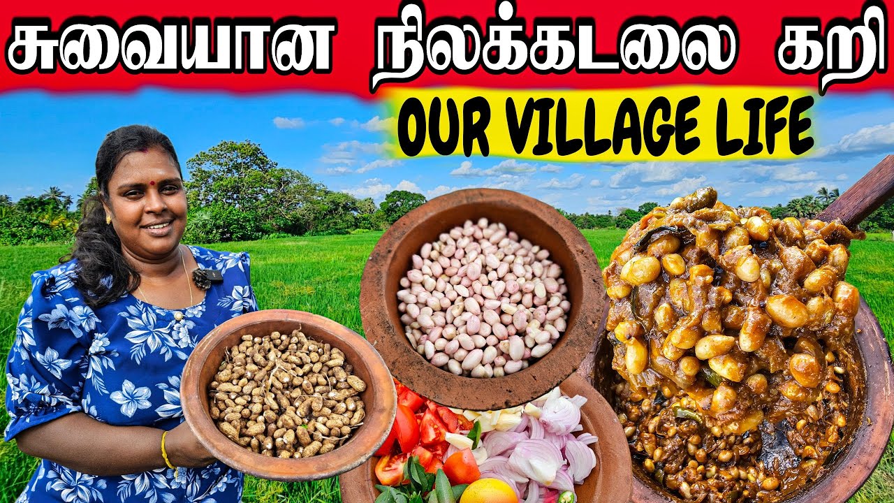 சுவையான நிலக்கடலை பிரட்டல்| Our Village life #villagelife