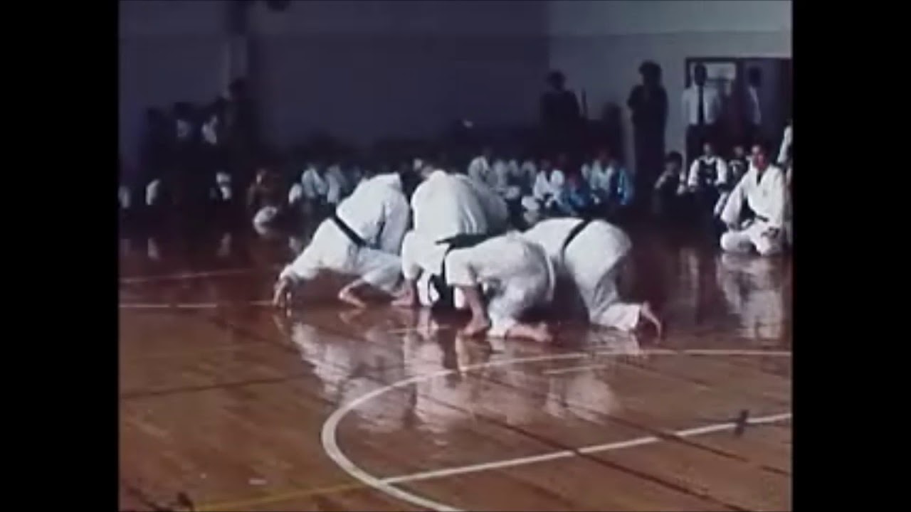 Okamoto-Seigo-sensei's performance.