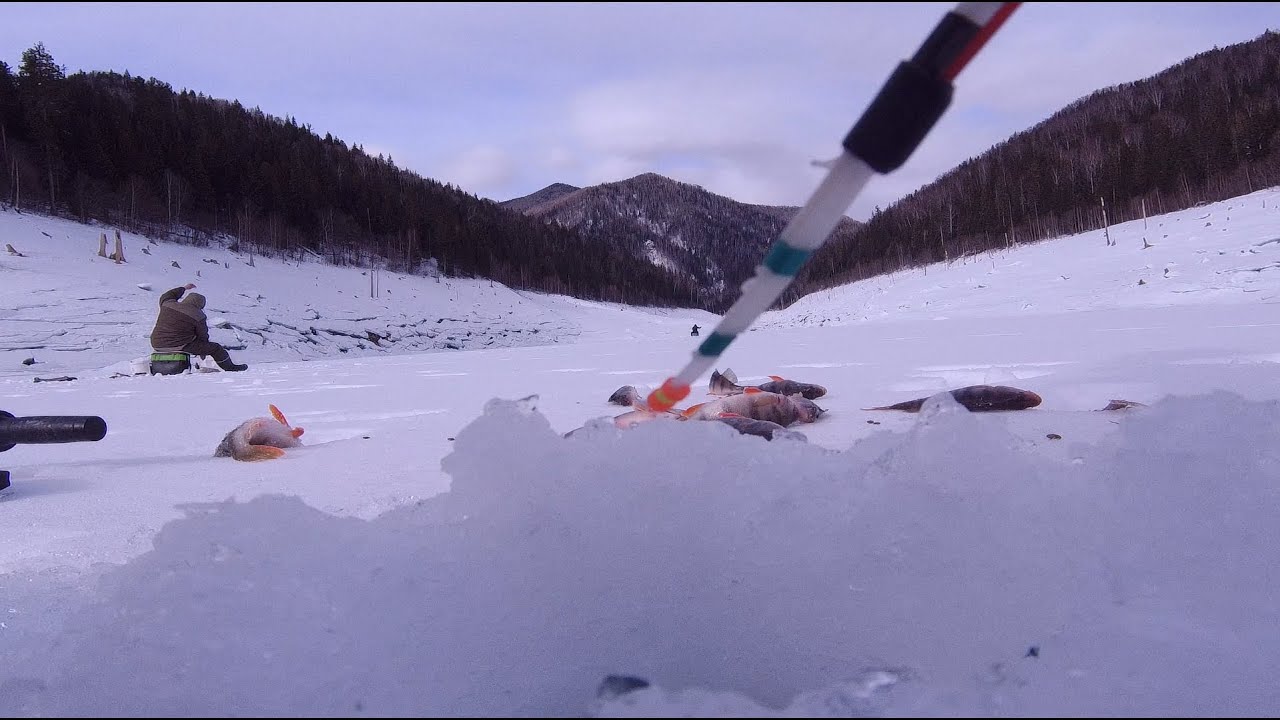 Рыбалка на Саяно-Шушенском водохранилище | Залив Абдыр | Часть-1