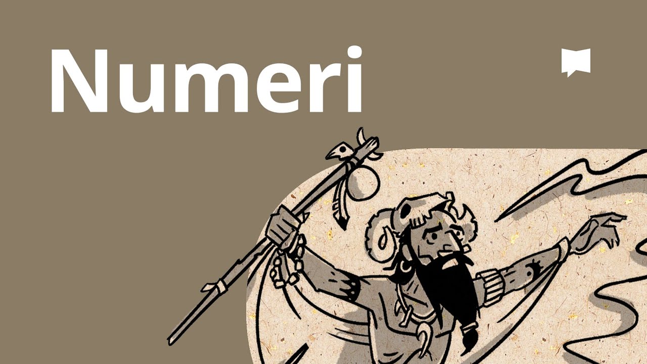 Panoramica: Numeri