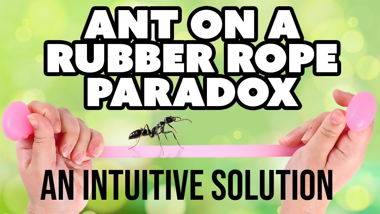 An Intuitive Solution to the Ant on Rubber Rope Paradox