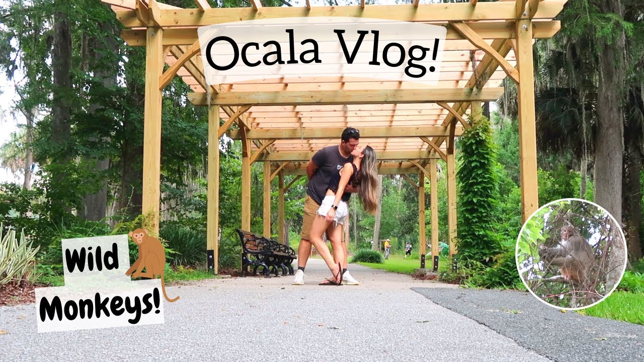 OCALA VLOG!! | Weekend in Ocala Florida | Silver Springs | Swimming Dogs|  Emilyy Elizabeth Davio