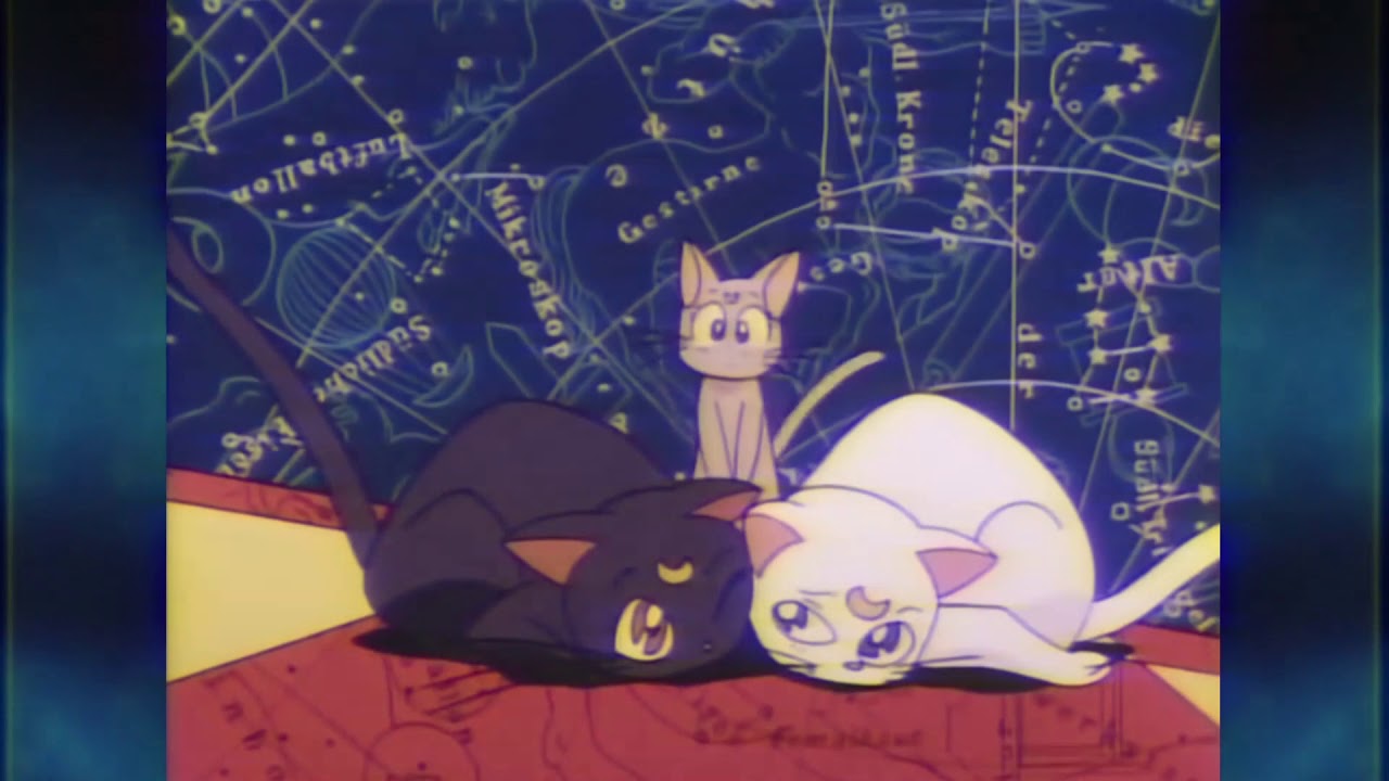 PUAR - Sauce Like Soy