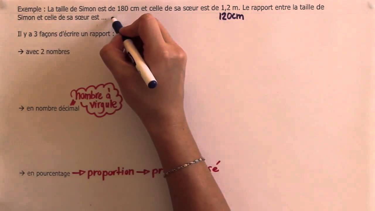 Les rapports