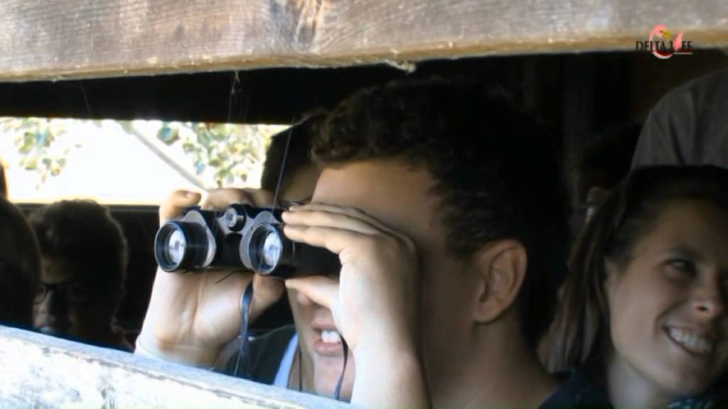Comacchio Capitale del Birdwatching e Turismo 1 puntata