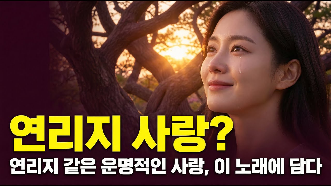 연리지ㅣ 감성 발라드 트로트 ㅣ 카페트로트 #중년감성트로트 #감성트로트 #노래 #대중가요연주 #트로트 #조용히듣는트로트 #중년트로트 #카페음악 #카페음악