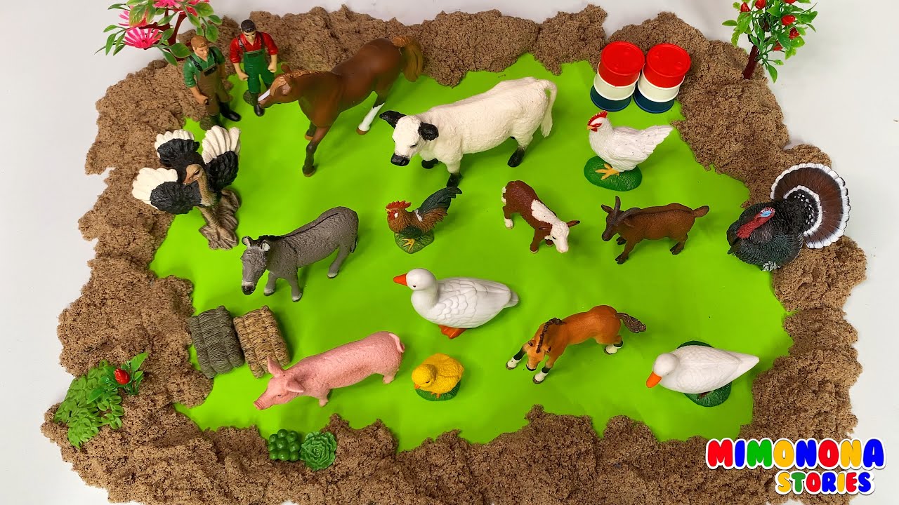 Animales de la Granja 🐷 Sabana 🐘 Oceano 🐟 Selva 🐅 Mimonona Stories