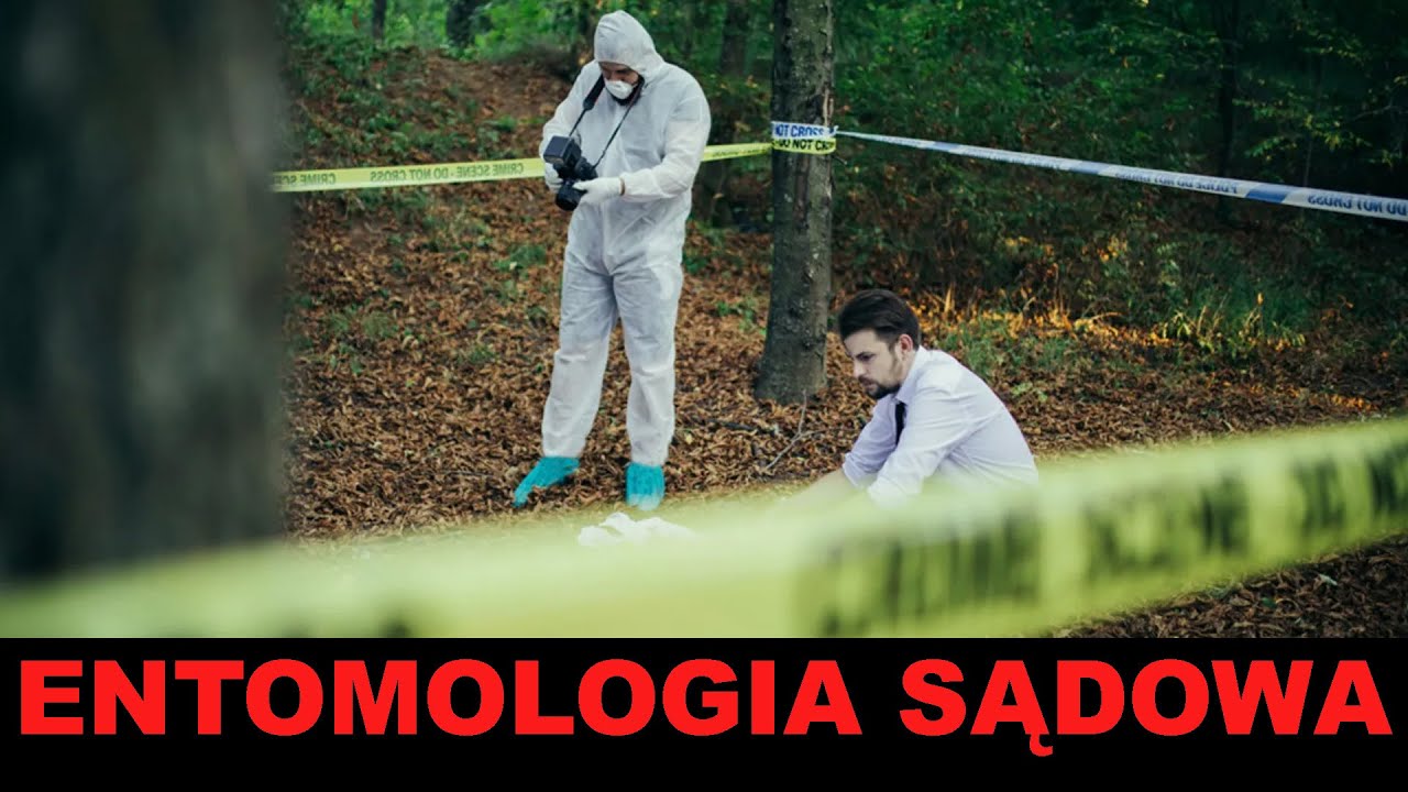 JAK OKREŚLIĆ CZAS ROZKŁADU? sprzątanie po zmarłych - sprzątanie po zwłokach - sprzątanie po zmarłym