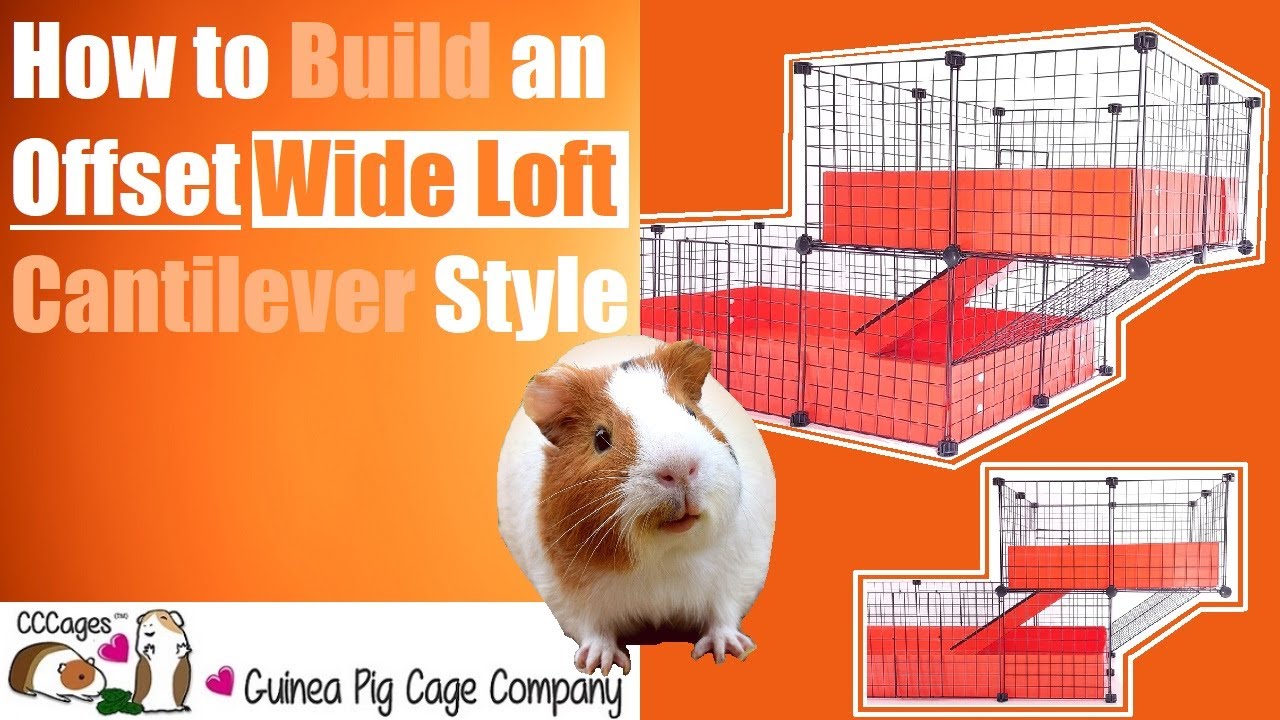 Building a Cantilever Offset For a Wide Loft | C&C Guinea Pig Cages