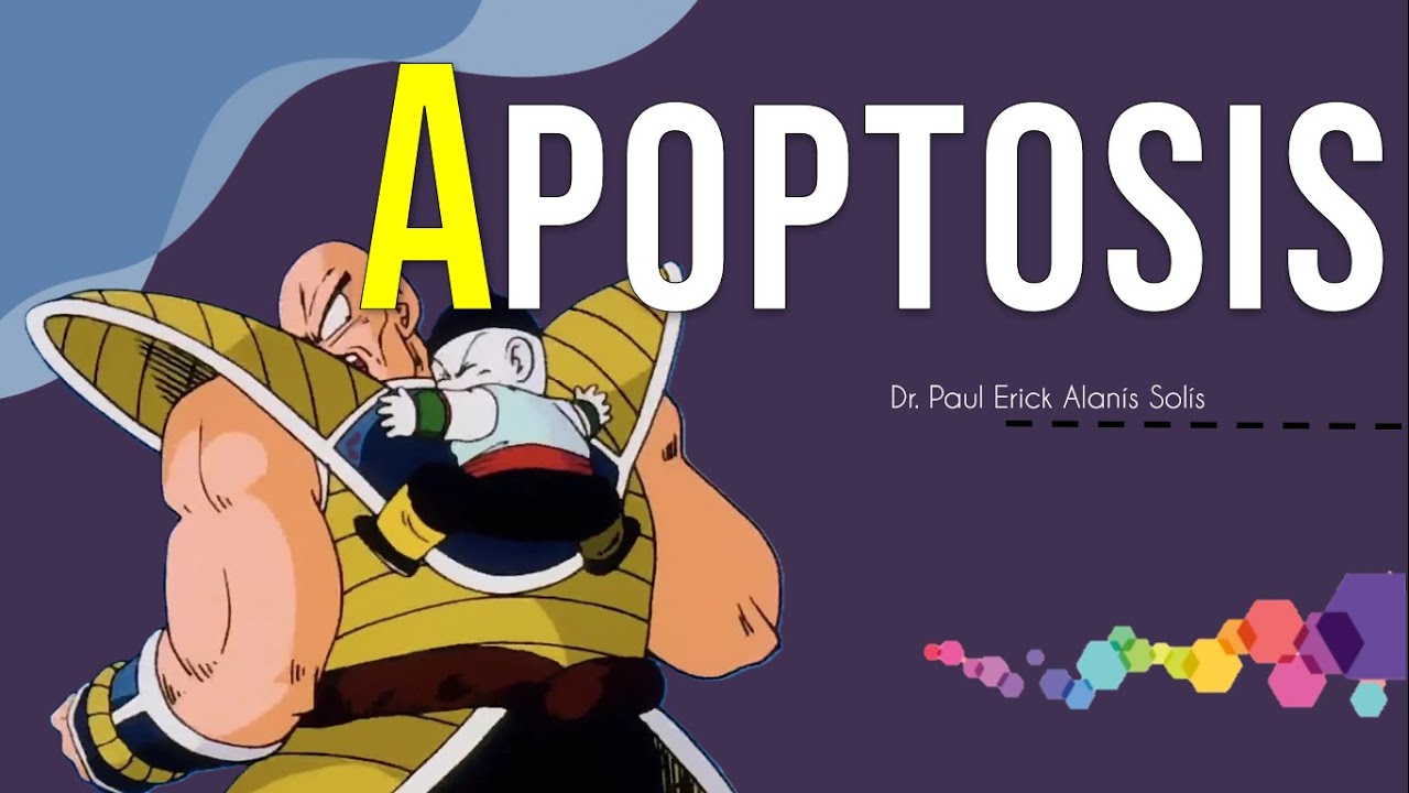 ¿Qué es la Apoptosis?
