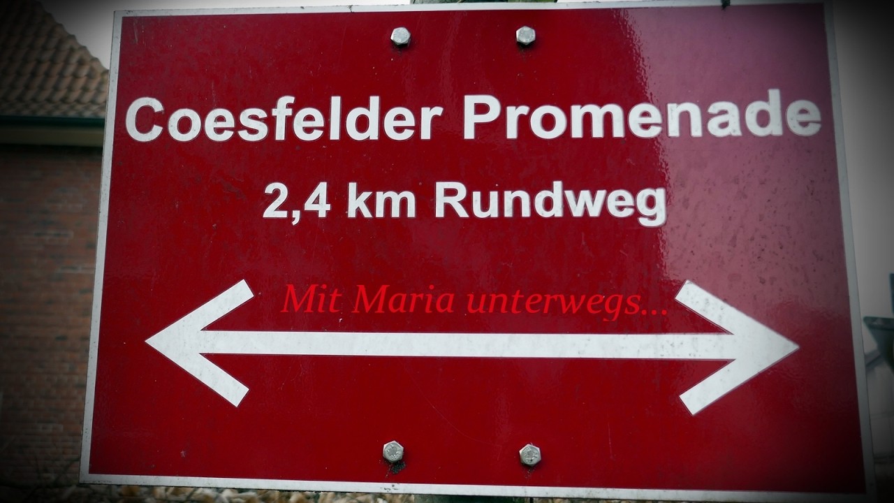 Mit Maria unterwegs: Eine Stunde *WALKING*...