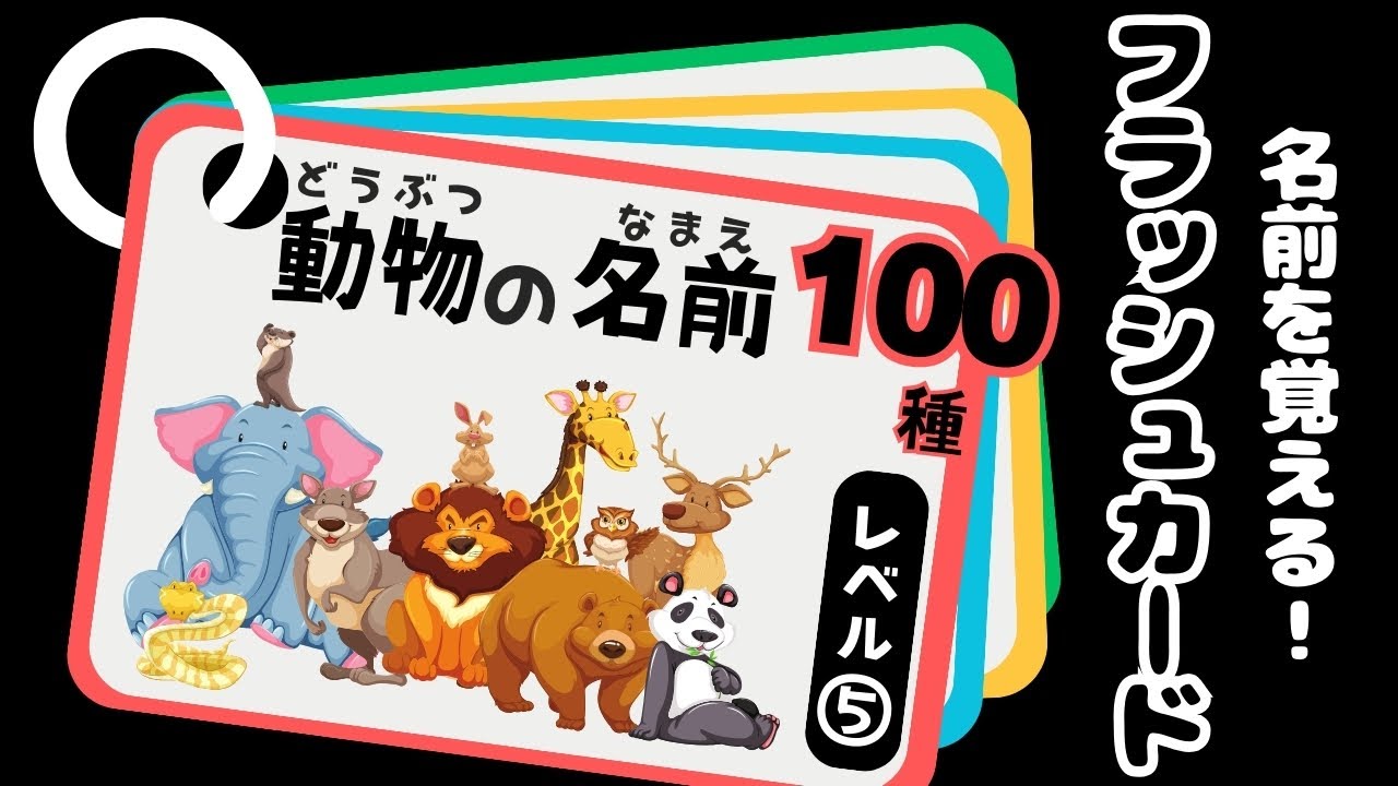 ☆レベル５☆ 動物の名前フラッシュカード【100種類】動物の名前を覚えよう！知育