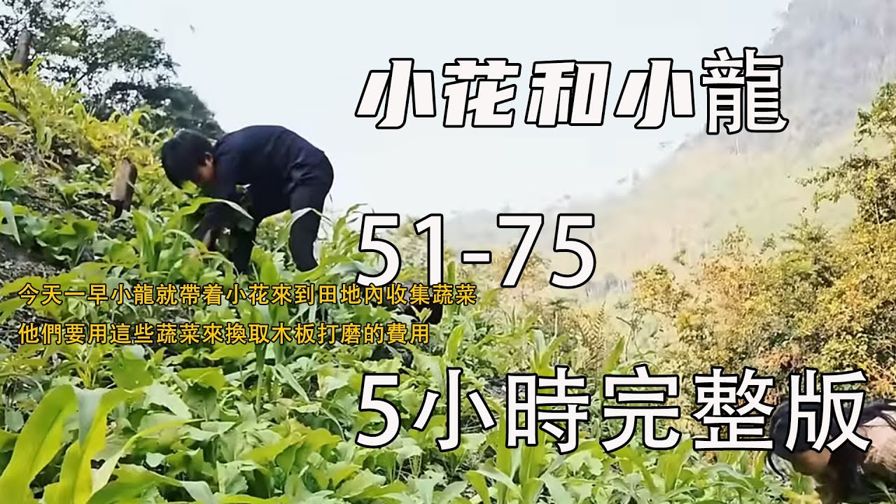 5小時完整版：今天一早小龍就帶着小花來到田地內收集蔬菜，他們要用這些蔬菜來換取木板打磨的費用《小花和小龍》51-75