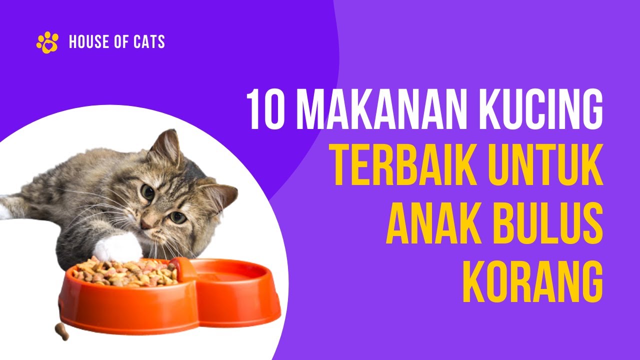 10 Makanan 