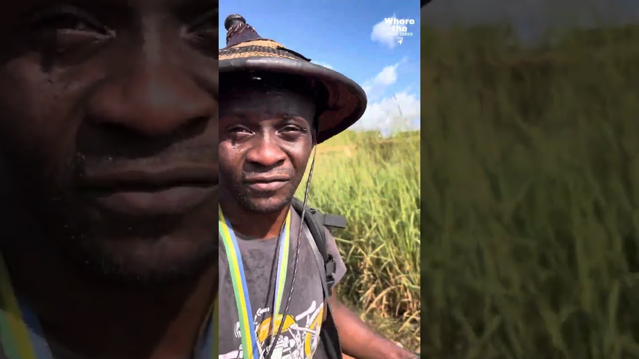 Gabon 🇬🇦 : le trajet Lalara-Booué, il y a quoi là dedans ? Découvertes 