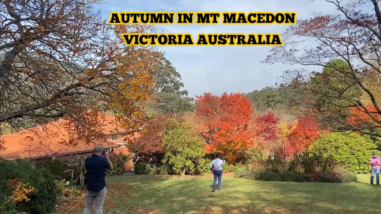 AUTUMN IN MT MACEDON | MELBOURNE AUSTRALIA | THE ADVENTURES OF KEPWING