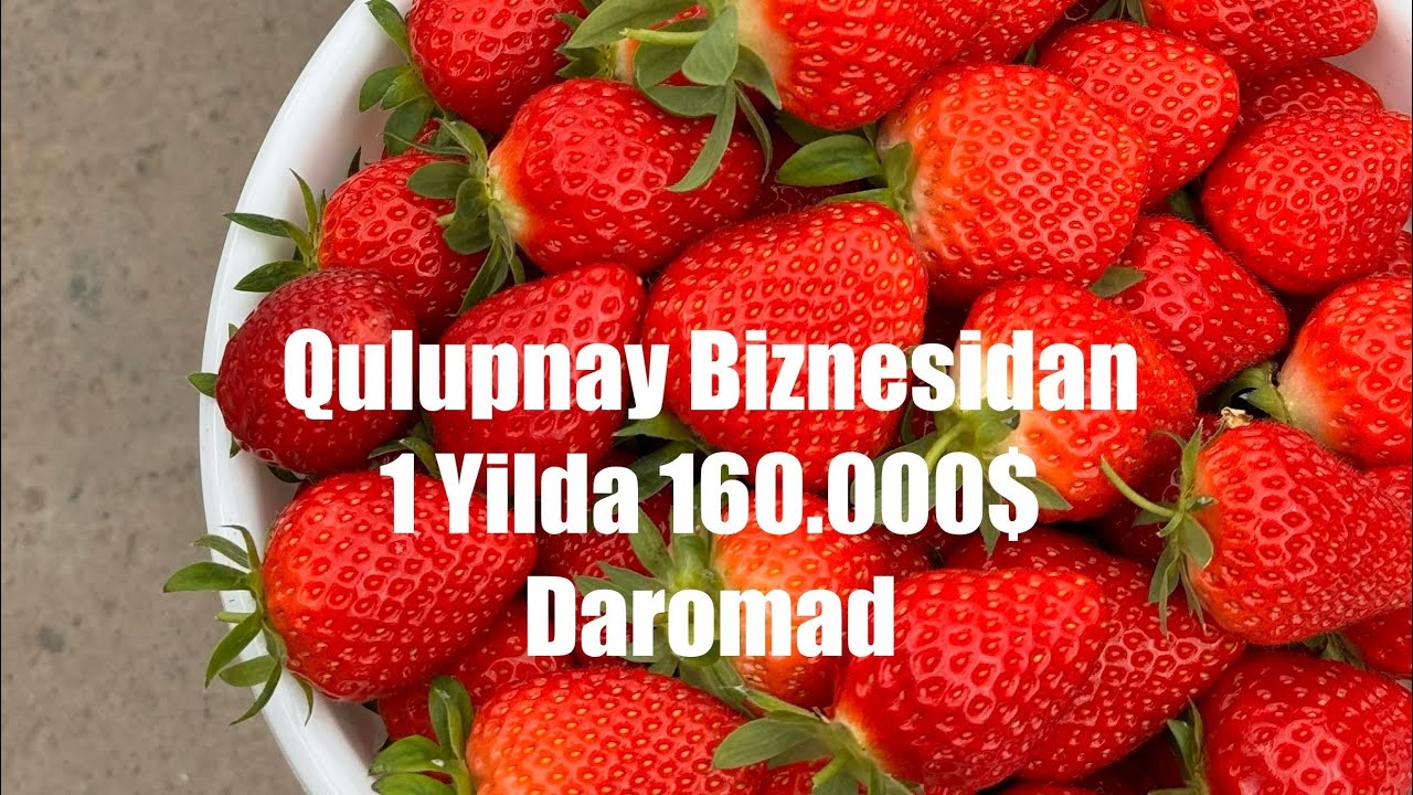 Qulupnay 1 yillik daromadi. Qulupnay biznesi sirlari. Kokos substraktlari. 97 167 7272