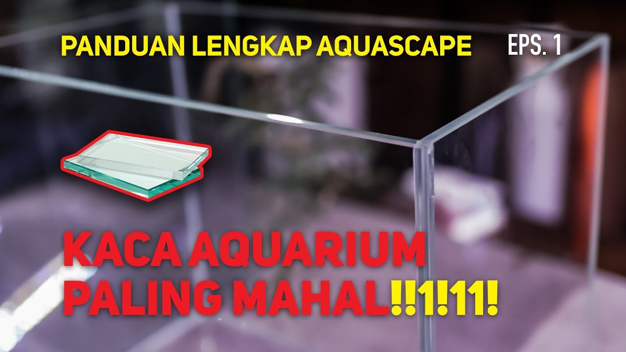 Tips Memilih Aquarium yang Sesuai - Episode 1