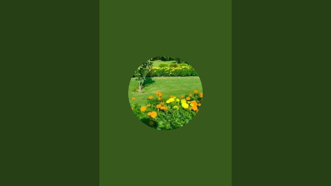 Riteshsingh is live