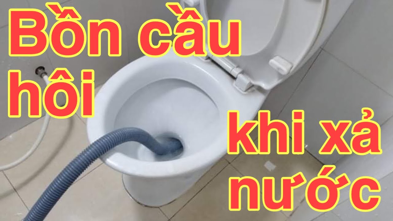 VÌ SAO BỒN CẦU SAU 1 THỜI GIAN SỬ DỤNG THÌ CÓ MÙI HÔI