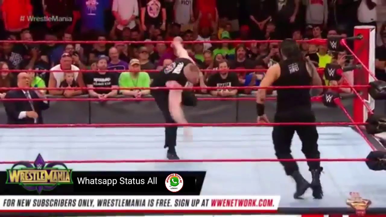Roman ran and brok lasner new fighting