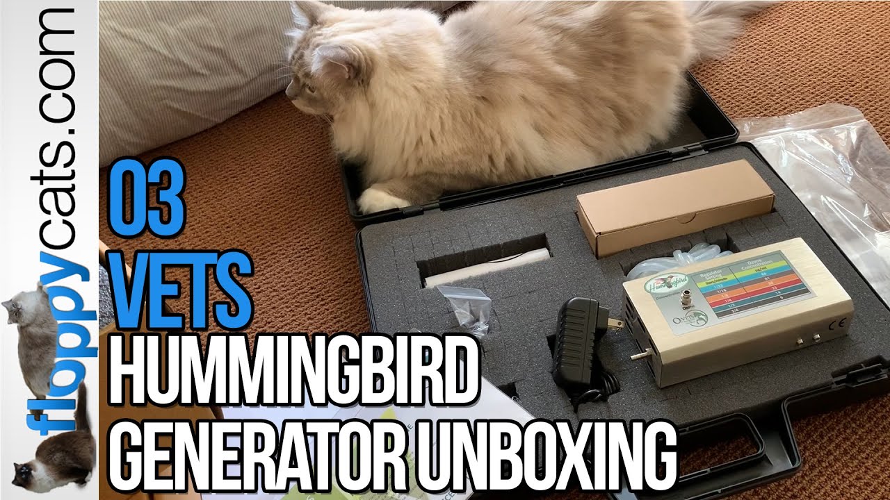 Ozone Therapy for Cats: O3 Vets Hummingbird Generator Unboxing