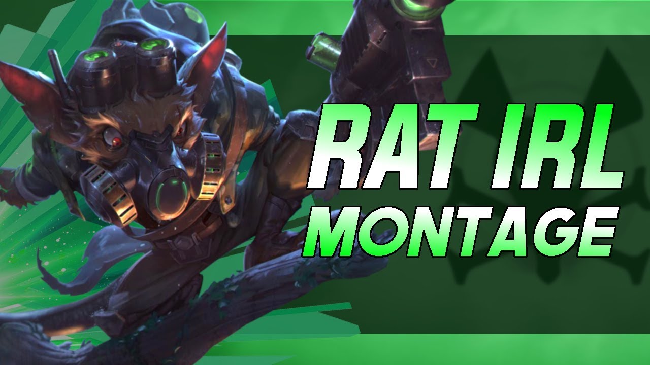 RAT IRL 