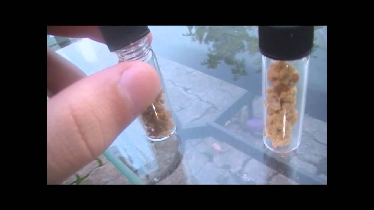 Purple/Champagne Kush Budder + OG Fullmelt