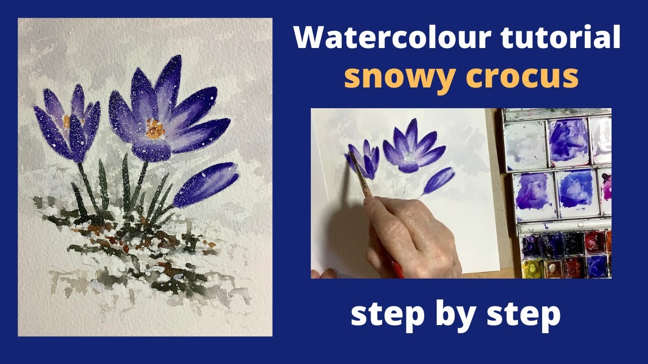 Watercolour tutorial, snowy crocus : step by step