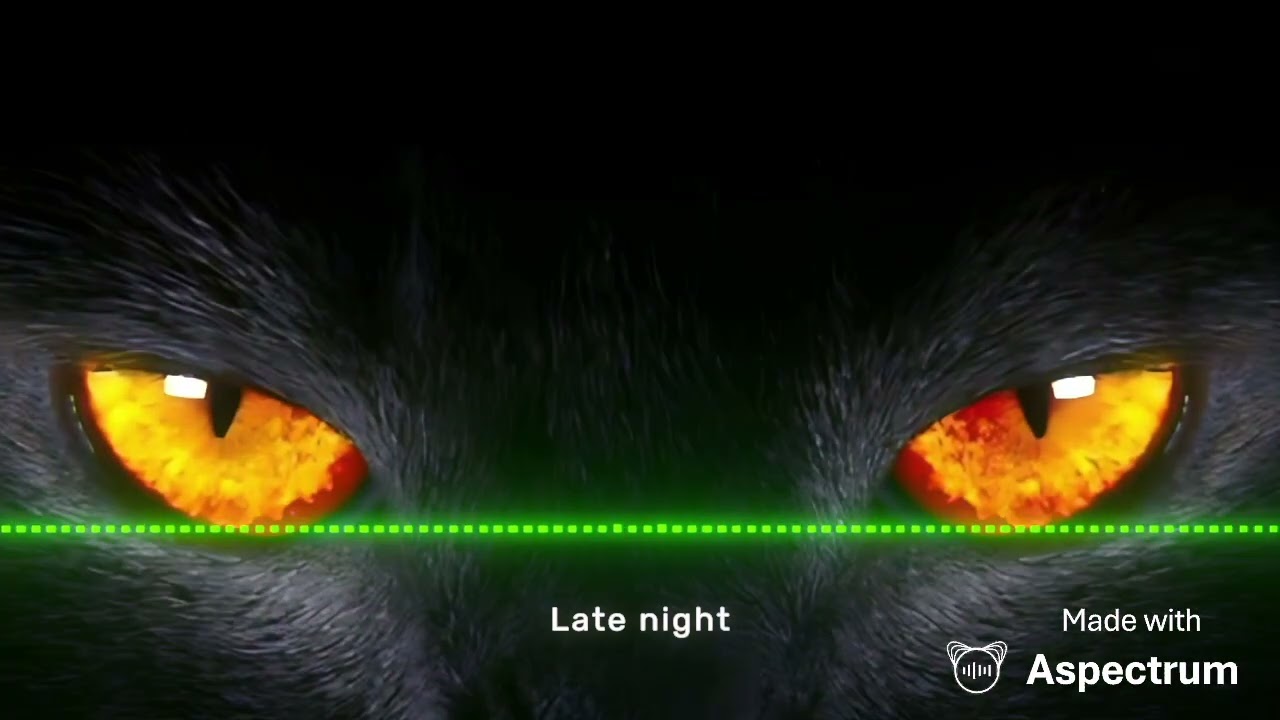 EDM ♦️late night