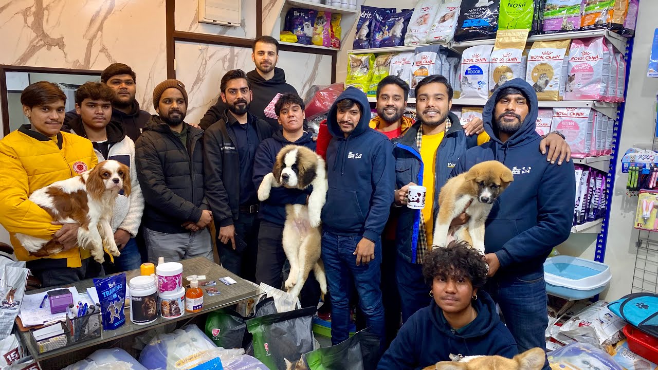 How To Import Dogs In Pakistan? | Dogs Training |  Dogs Grooming | Imported Dog Food And Accessories