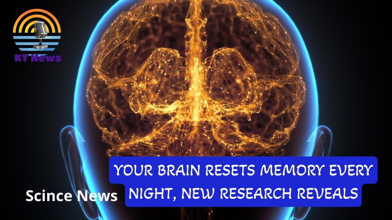 Your Brain Resets Memory Every Night, New Research Reveals #sciencenews