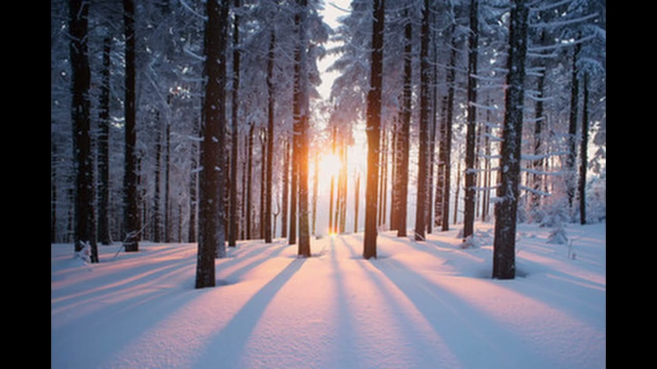 Walk with me if only in my mind  (written by Sidney Payne)