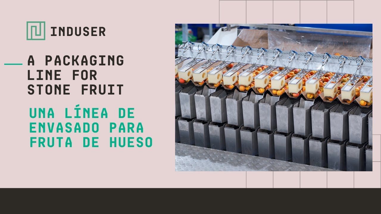🍑 Fruits Queralt – Innovative Packaging Solutions for Stone Fruit