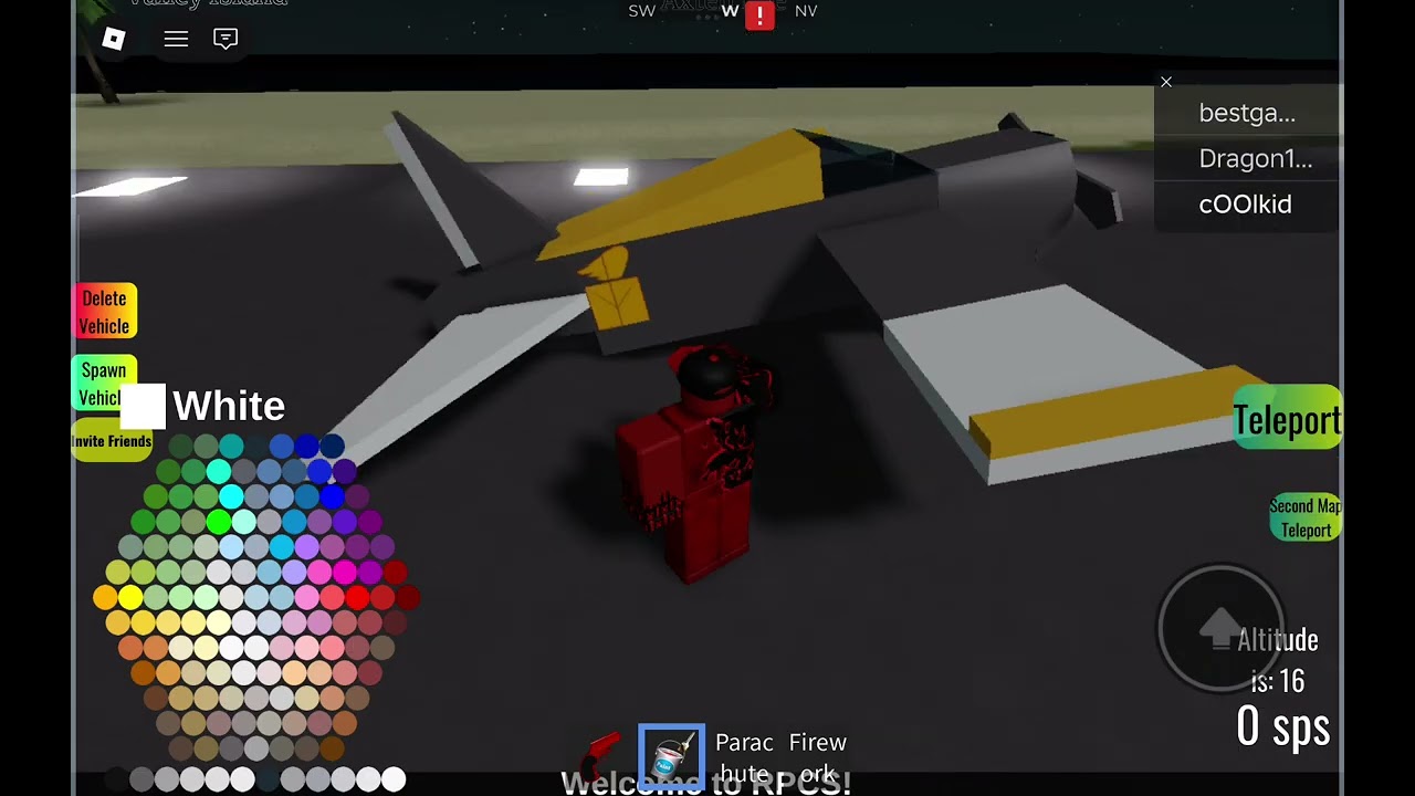 Plane crashes official 