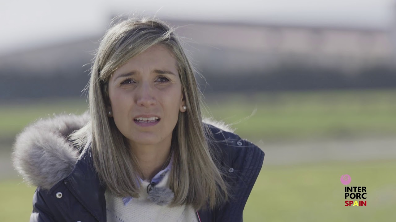 Sector Porcino de España: líderes en bioseguridad, bienestar animal y empleo.