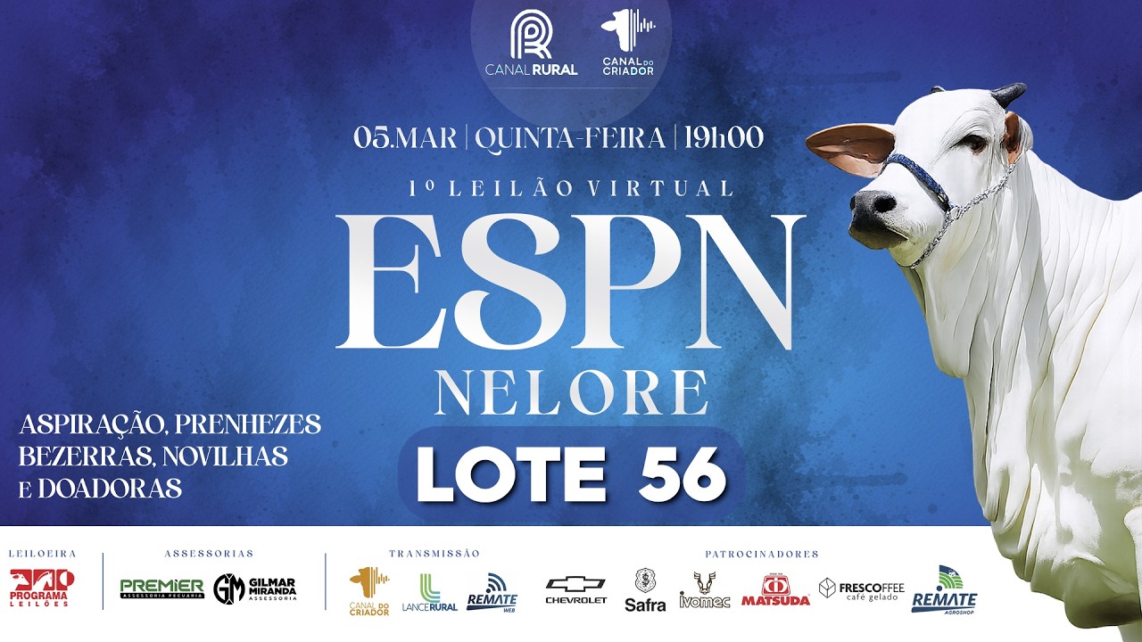LOTE 56   ESPN 5480 5447 5369 5375