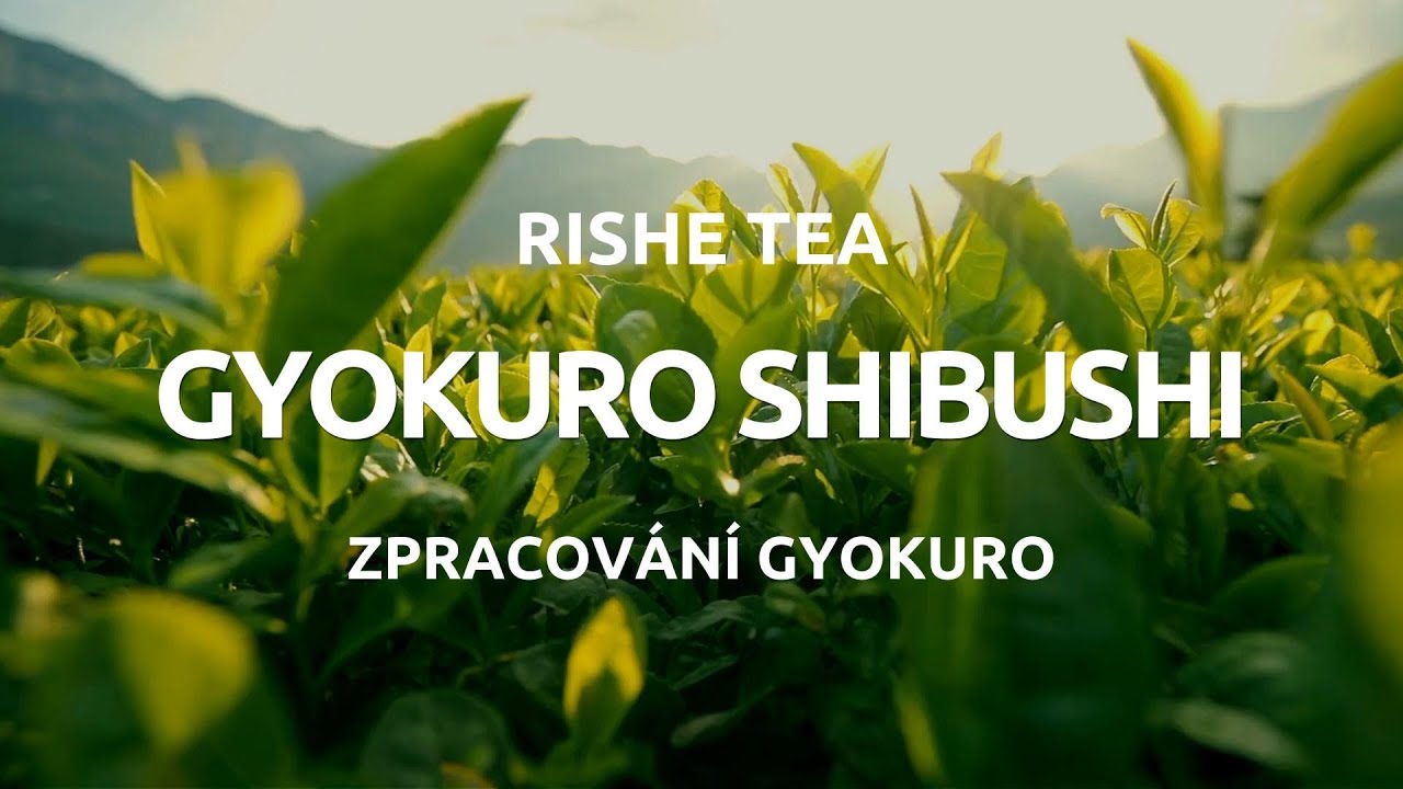 Shiage - finální zpracování gyokuro. Gyokuro Shibushi