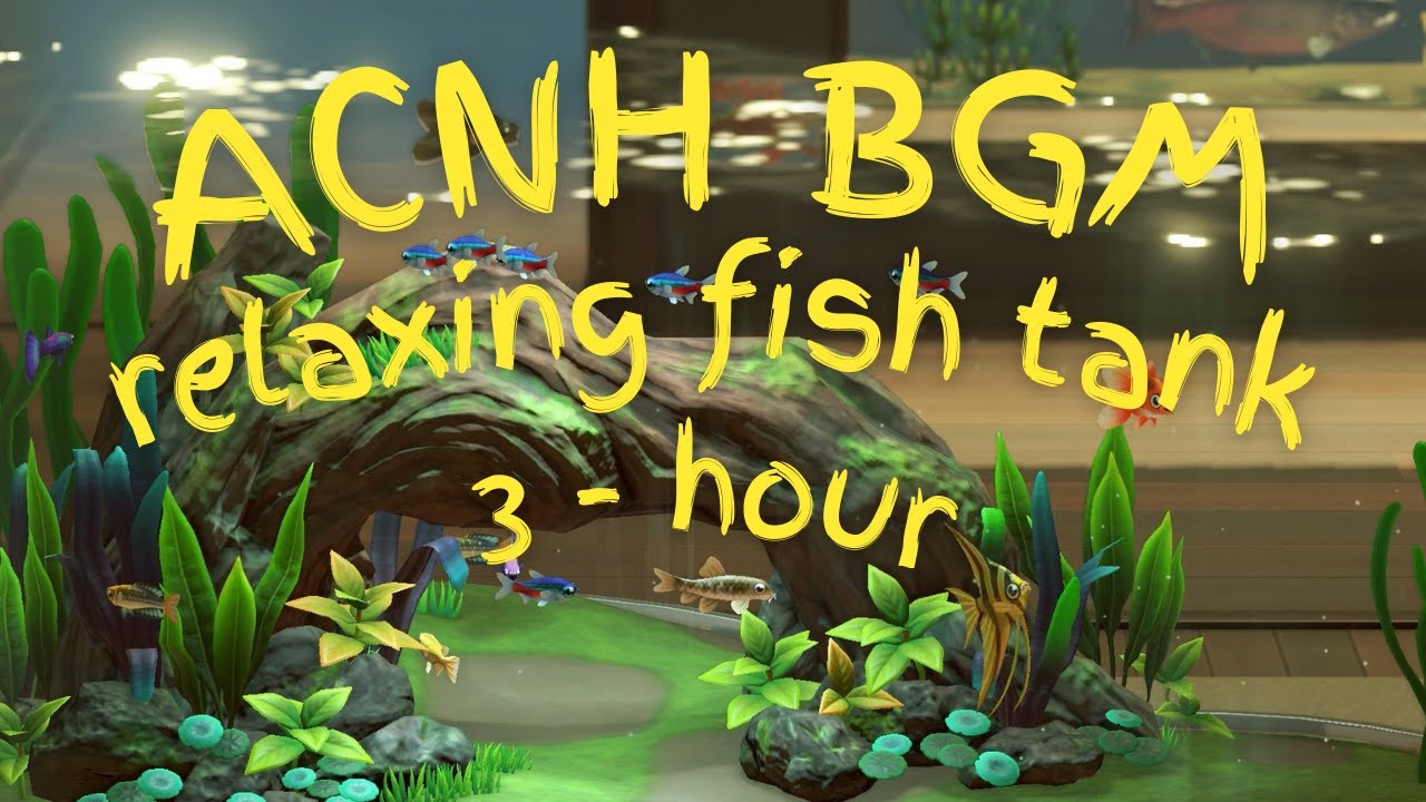 ACNH BGM - relaxing fish tank to help you focus🐠🫧| Animal Crossing Ambient 3Hour Study Work or Relax