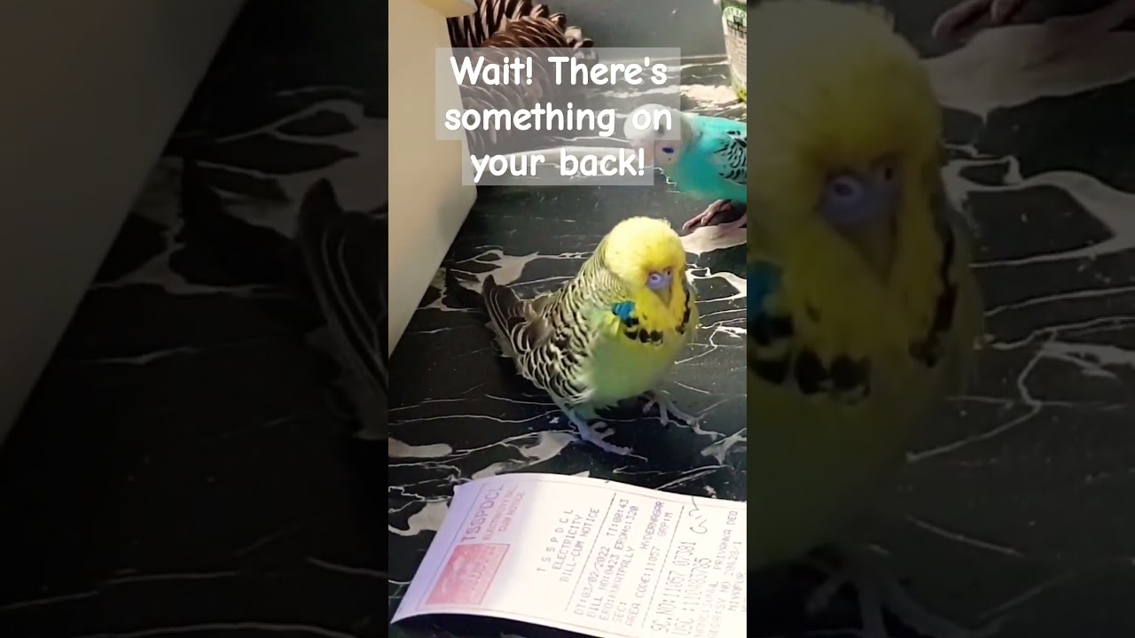 Oh! Just Leave Me Alone! 😂🌿🍂🍀 