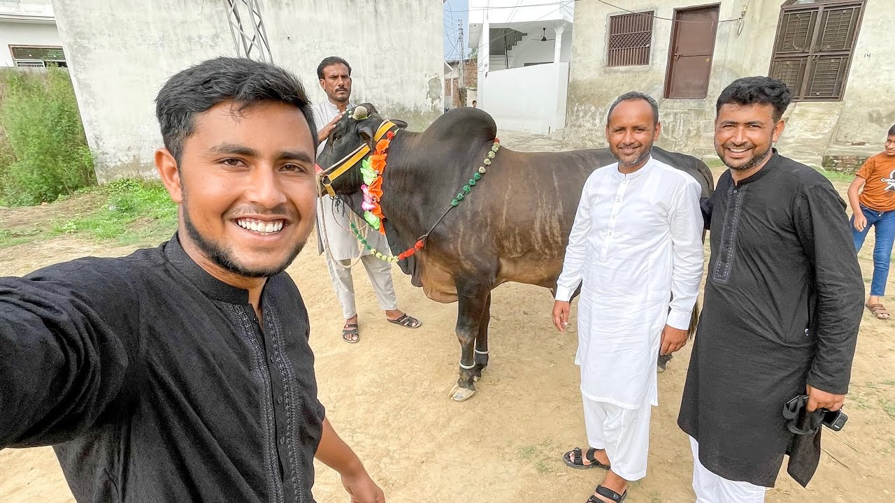 Eid ul Adha Mubarak ( 2022 )
