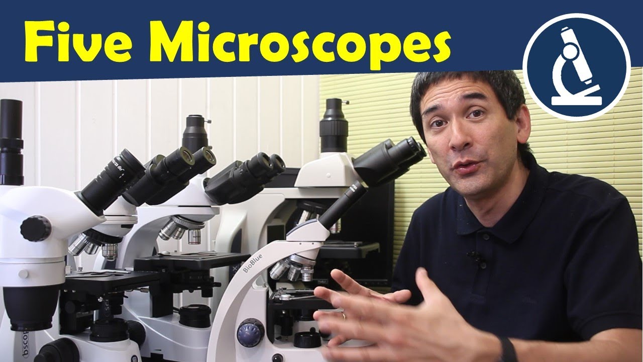 🔬 Сравнение микроскопов