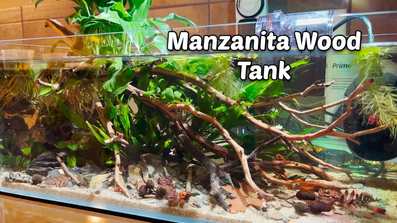 Manzanita Wood Tank Tutorial