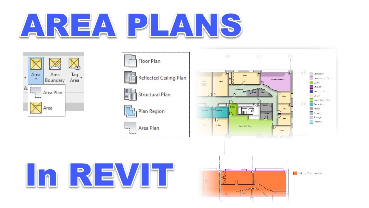 План местности Revit